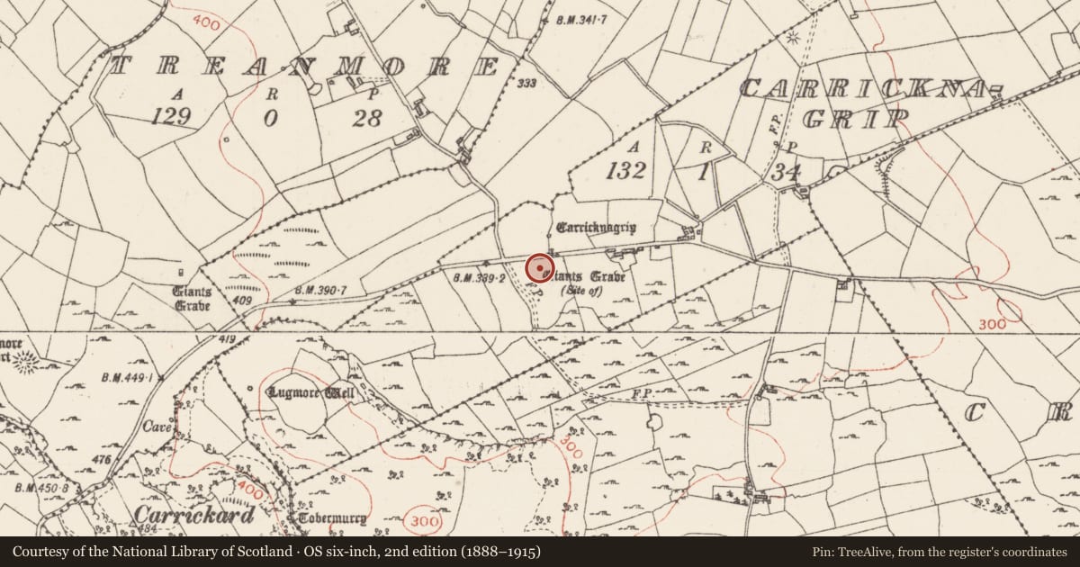 Ordnance Survey six-inch map, 2nd edition (1888–1915) covering the location of Megalithic tomb - unclassified, Carricknagrip, County Sligo, with a pin at the register's coordinates