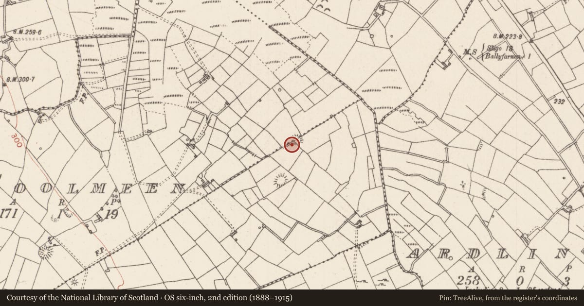 Ordnance Survey six-inch map, 2nd edition (1888–1915) covering the location of Ringfort - rath, Carricknagrip, Coolmeen, County Sligo, with a pin at the register's coordinates