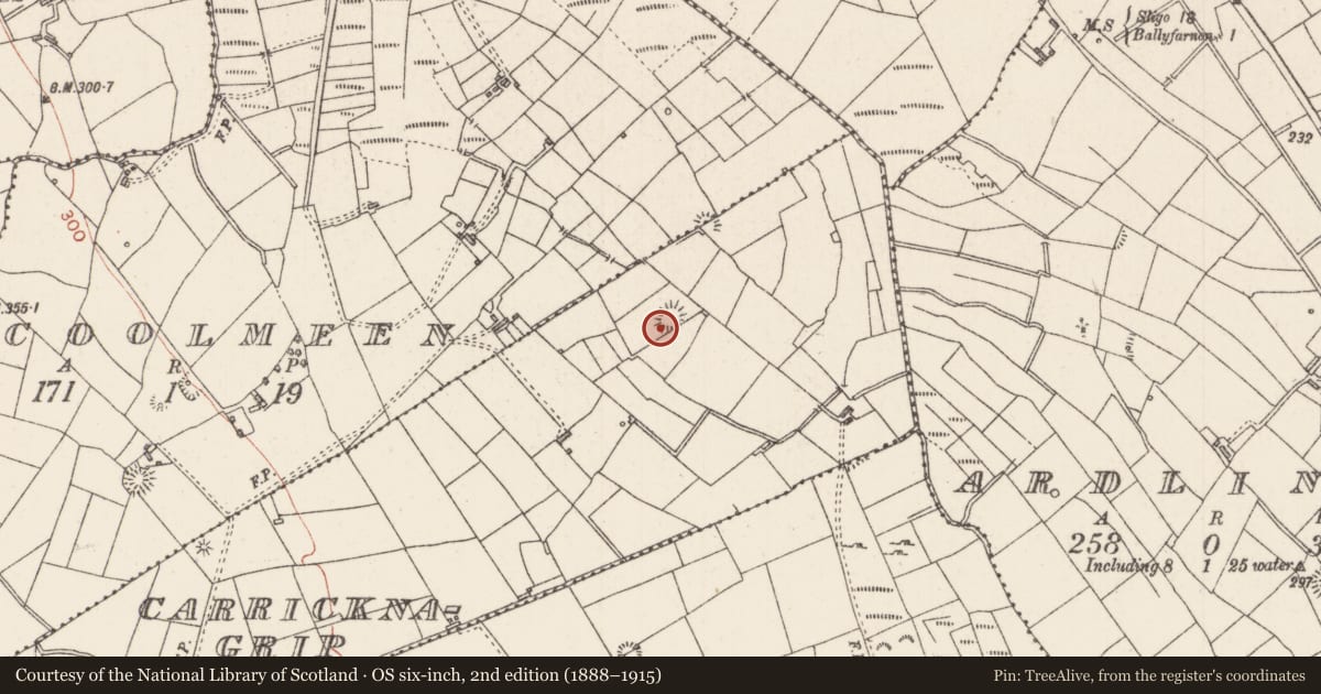 Ordnance Survey six-inch map, 2nd edition (1888–1915) covering the location of Ringfort - rath, Carricknagrip, County Sligo, with a pin at the register's coordinates