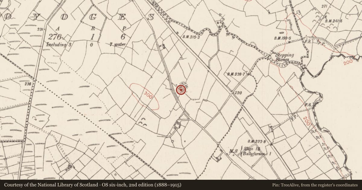 Ordnance Survey six-inch map, 2nd edition (1888–1915) covering the location of Ringfort - rath, Foyoges, County Sligo, with a pin at the register's coordinates