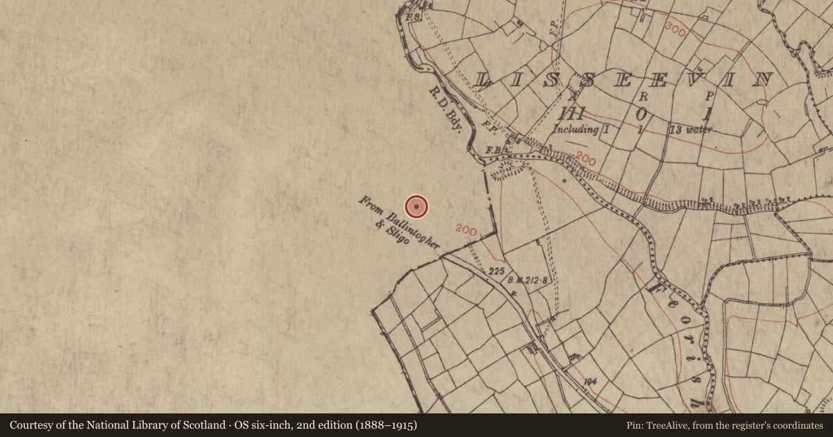 Ordnance Survey six-inch map, 2nd edition (1888–1915) covering the location of Ringfort - rath, Ardline, County Sligo, with a pin at the register's coordinates