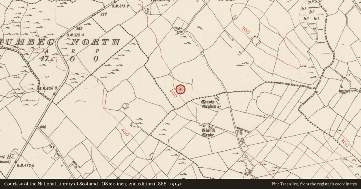 Ordnance Survey six-inch map, 2nd edition (1888–1915) covering the location of Barrow - mound barrow, Ballyculleen, County Sligo, with a pin at the register's coordinates