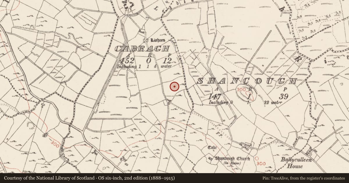 Ordnance Survey six-inch map, 2nd edition (1888–1915) covering the location of Hut site, Cabragh, County Sligo, with a pin at the register's coordinates
