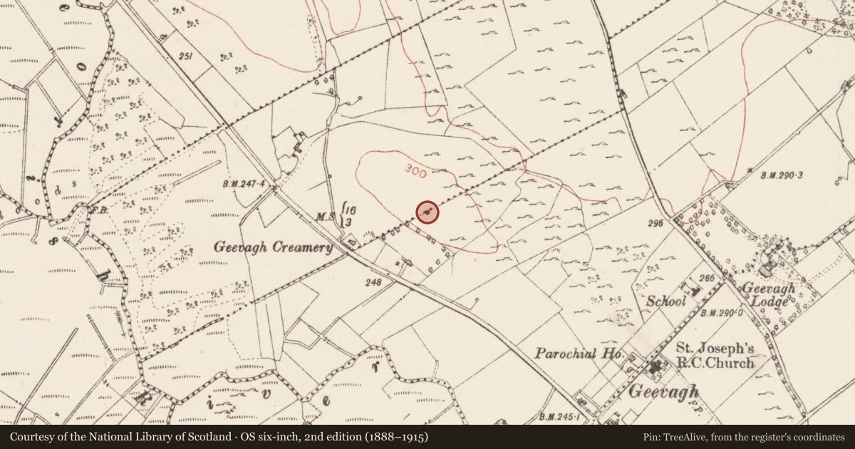 Ordnance Survey six-inch map, 2nd edition (1888–1915) covering the location of Structure, Straduff, Tullynure, County Sligo, with a pin at the register's coordinates