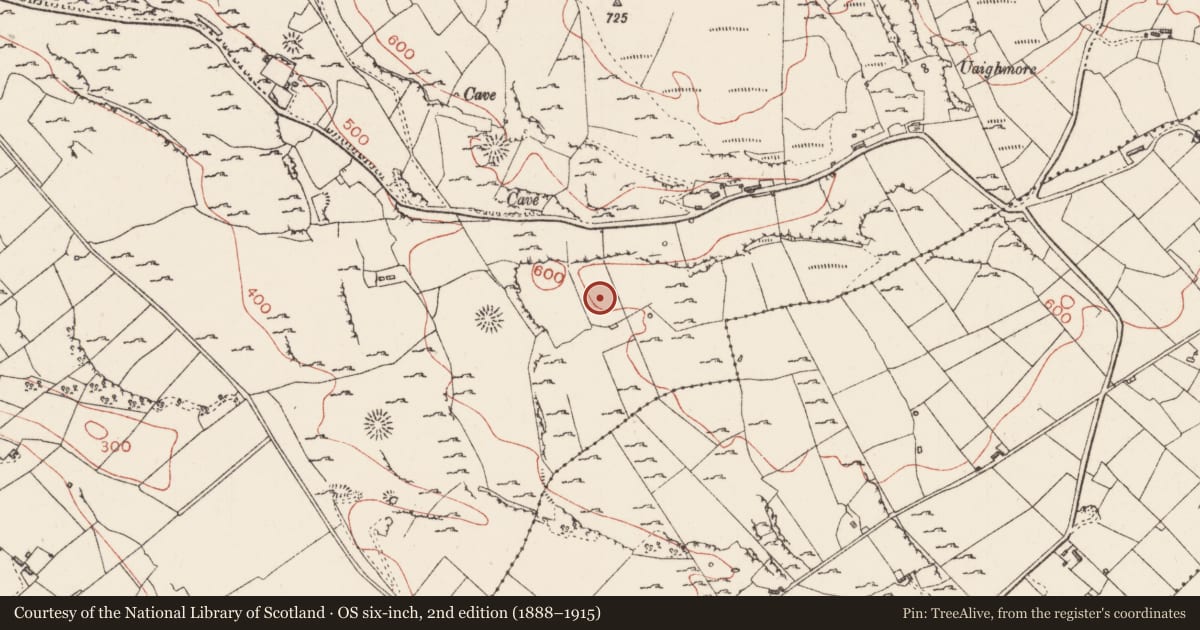 Ordnance Survey six-inch map, 2nd edition (1888–1915) covering the location of Enclosure, Carrownadargny, County Sligo, with a pin at the register's coordinates