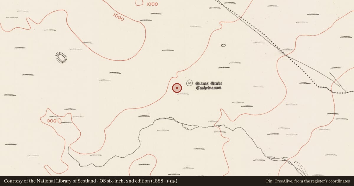 Ordnance Survey six-inch map, 2nd edition (1888–1915) covering the location of Megalithic tomb - unclassified, Carrowreagh, County Sligo, with a pin at the register's coordinates