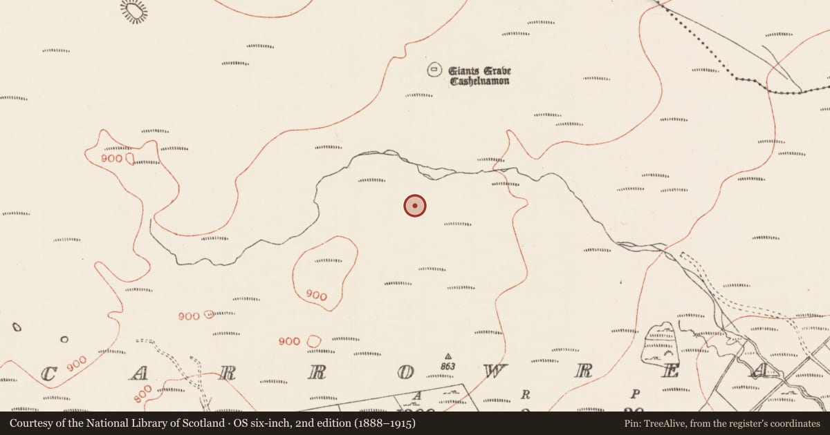 Ordnance Survey six-inch map, 2nd edition (1888–1915) covering the location of Megalithic tomb - court tomb, Carrowreagh, County Sligo, with a pin at the register's coordinates
