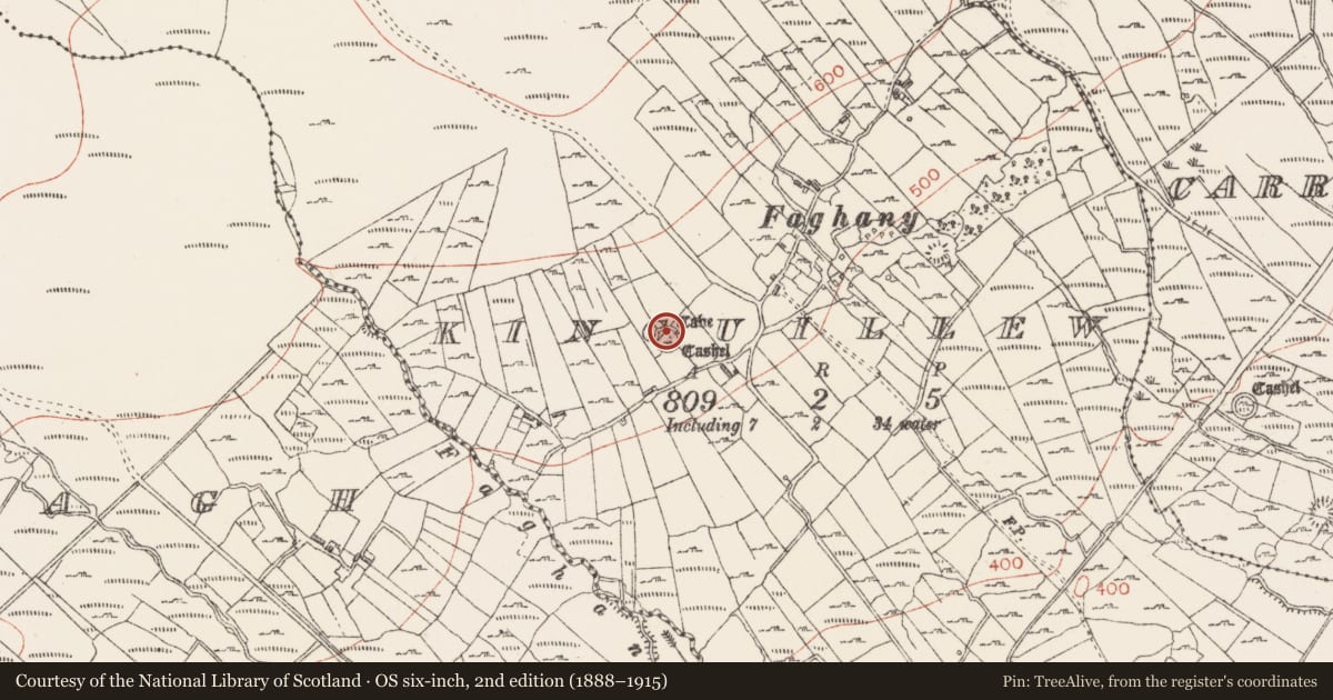 Ordnance Survey six-inch map, 2nd edition (1888–1915) covering the location of Ringfort - cashel, Kincuillew, County Sligo, with a pin at the register's coordinates