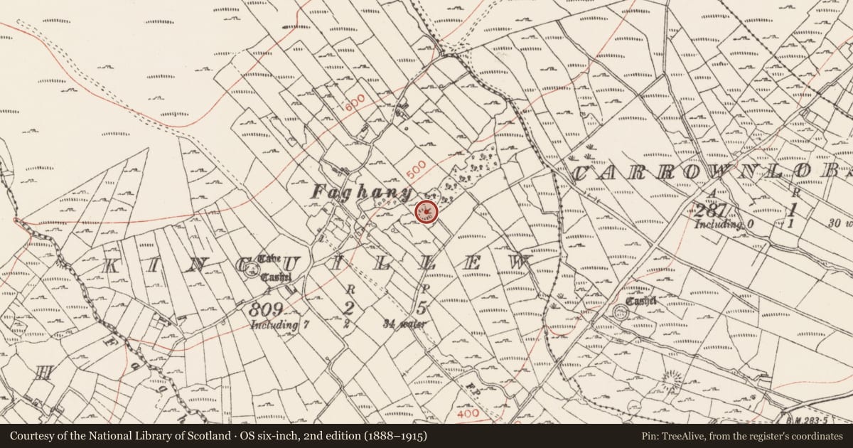 Ordnance Survey six-inch map, 2nd edition (1888–1915) covering the location of Enclosure, Kincuillew, County Sligo, with a pin at the register's coordinates