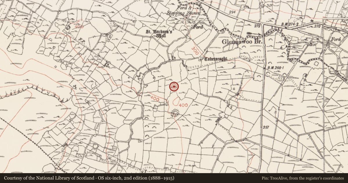 Ordnance Survey six-inch map, 2nd edition (1888–1915) covering the location of Megalithic structure, Glennawoo, County Sligo, with a pin at the register's coordinates