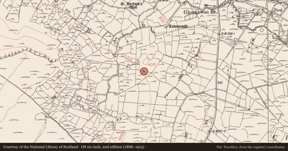 Ordnance Survey six-inch map, 2nd edition (1888–1915) covering the location of Ringfort - rath, Glennawoo, County Sligo, with a pin at the register's coordinates