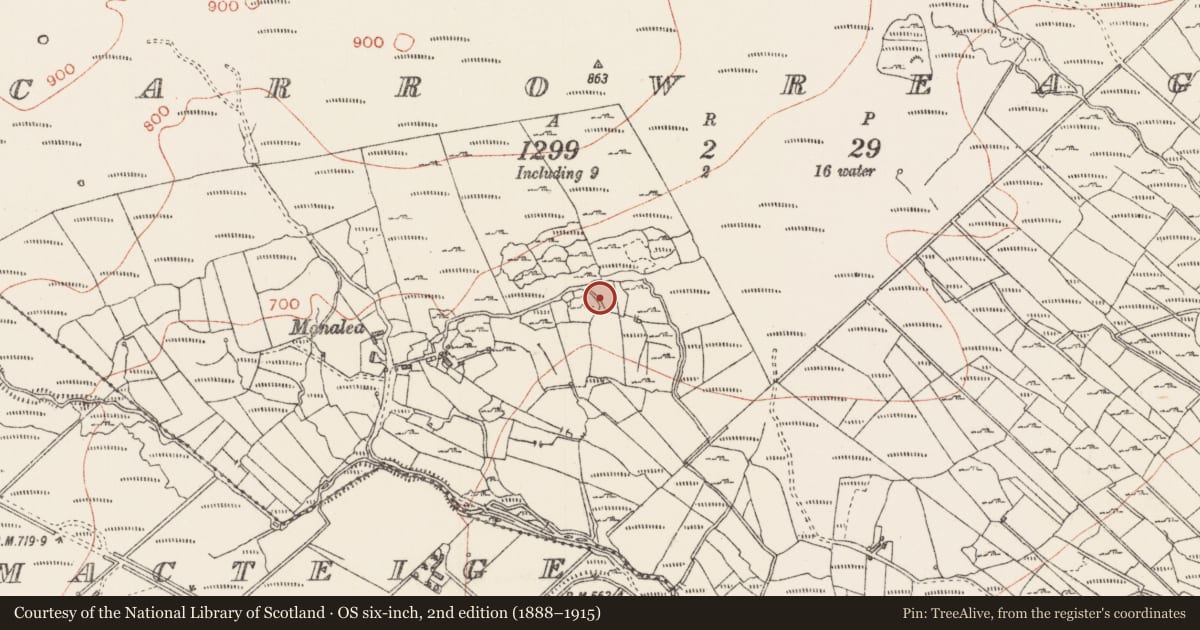 Ordnance Survey six-inch map, 2nd edition (1888–1915) covering the location of Field system, Carrowreagh, County Sligo, with a pin at the register's coordinates