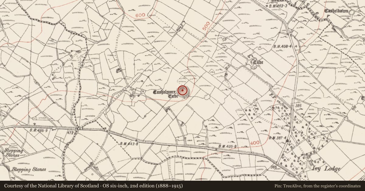 Ordnance Survey six-inch map, 2nd edition (1888–1915) covering the location of Ringfort - cashel, Kilmacteige, County Sligo, with a pin at the register's coordinates