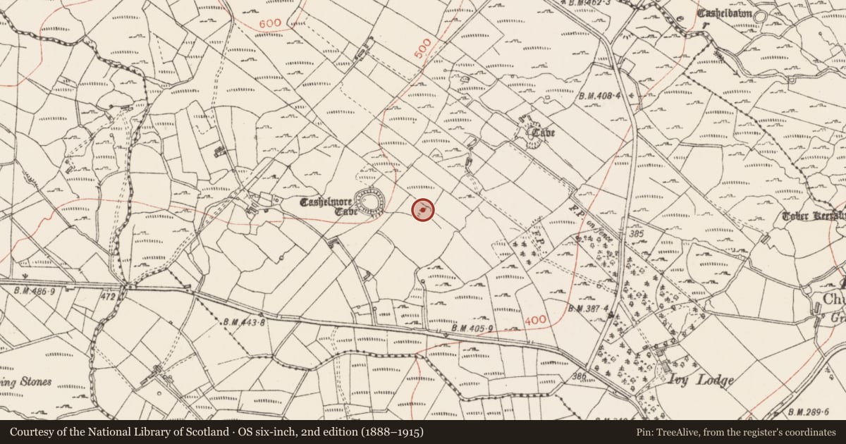 Ordnance Survey six-inch map, 2nd edition (1888–1915) covering the location of Ringfort - cashel, Kilmacteige, County Sligo, with a pin at the register's coordinates
