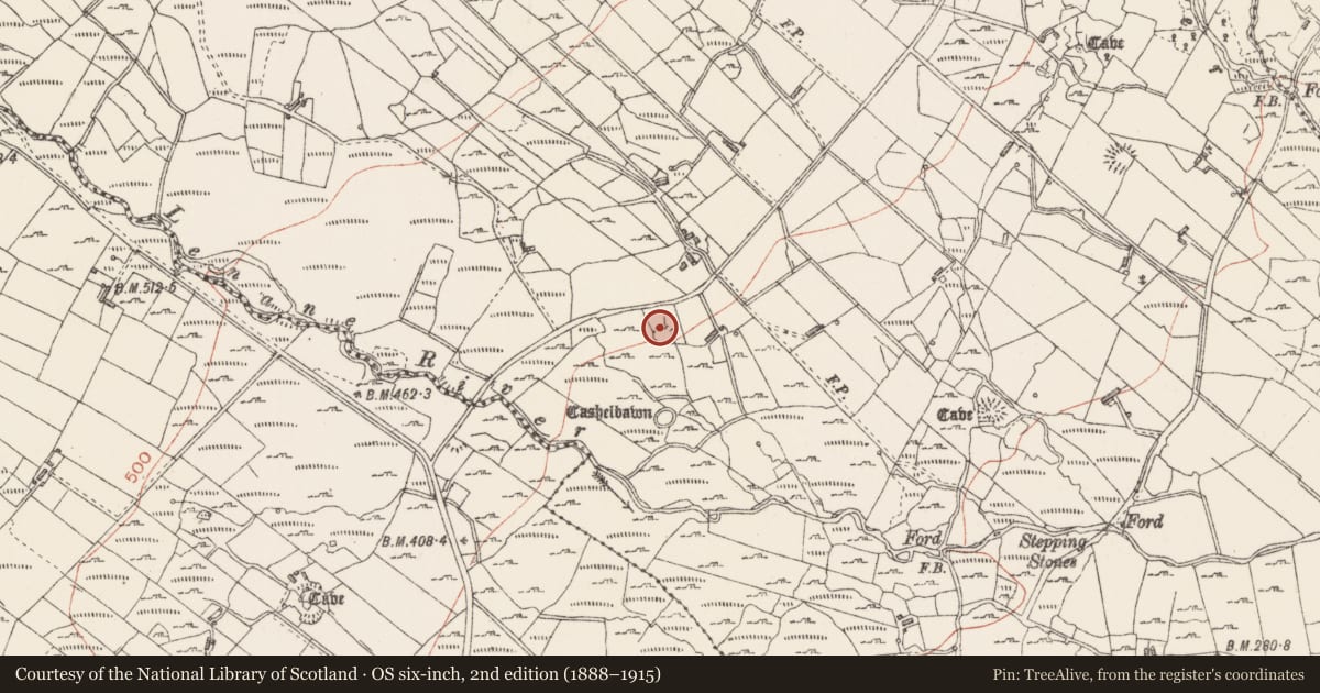 Ordnance Survey six-inch map, 2nd edition (1888–1915) covering the location of Ringfort - rath, Carrowreagh, County Sligo, with a pin at the register's coordinates