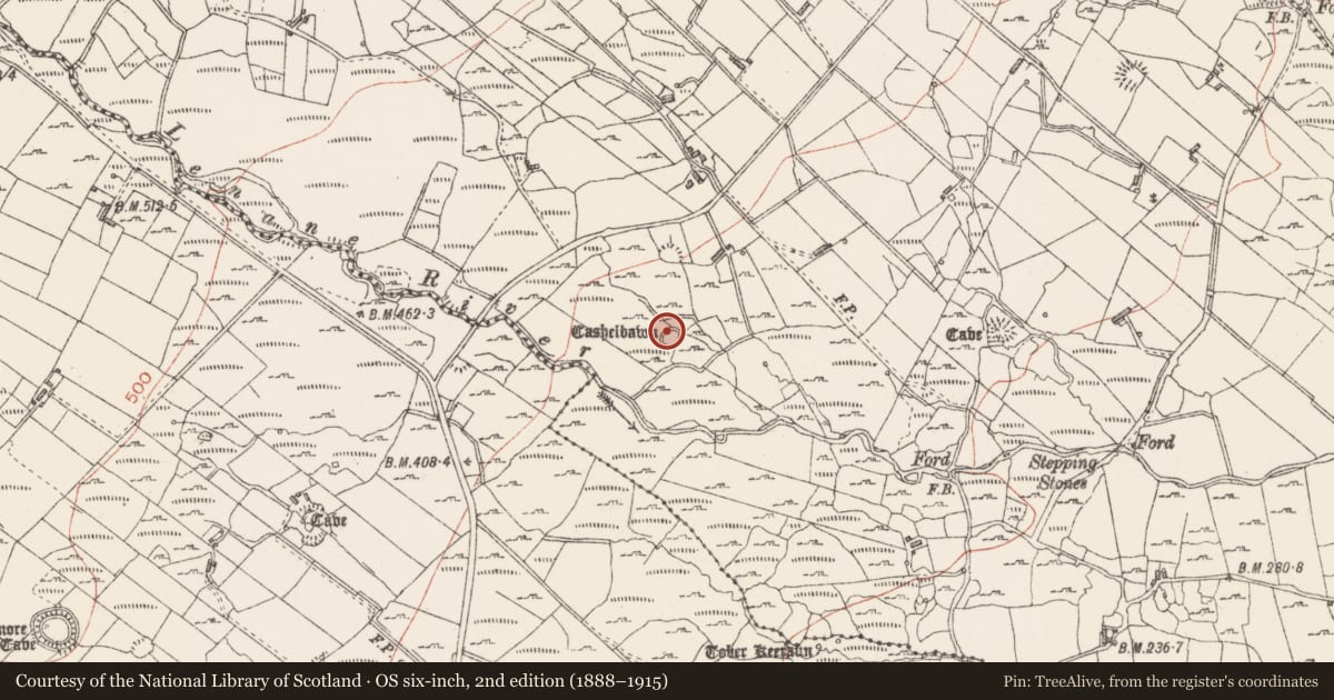 Ordnance Survey six-inch map, 2nd edition (1888–1915) covering the location of Ringfort - cashel, Carrowreagh, County Sligo, with a pin at the register's coordinates