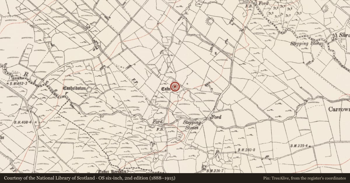 Ordnance Survey six-inch map, 2nd edition (1888–1915) covering the location of Ringfort - cashel, Carrowreagh, County Sligo, with a pin at the register's coordinates