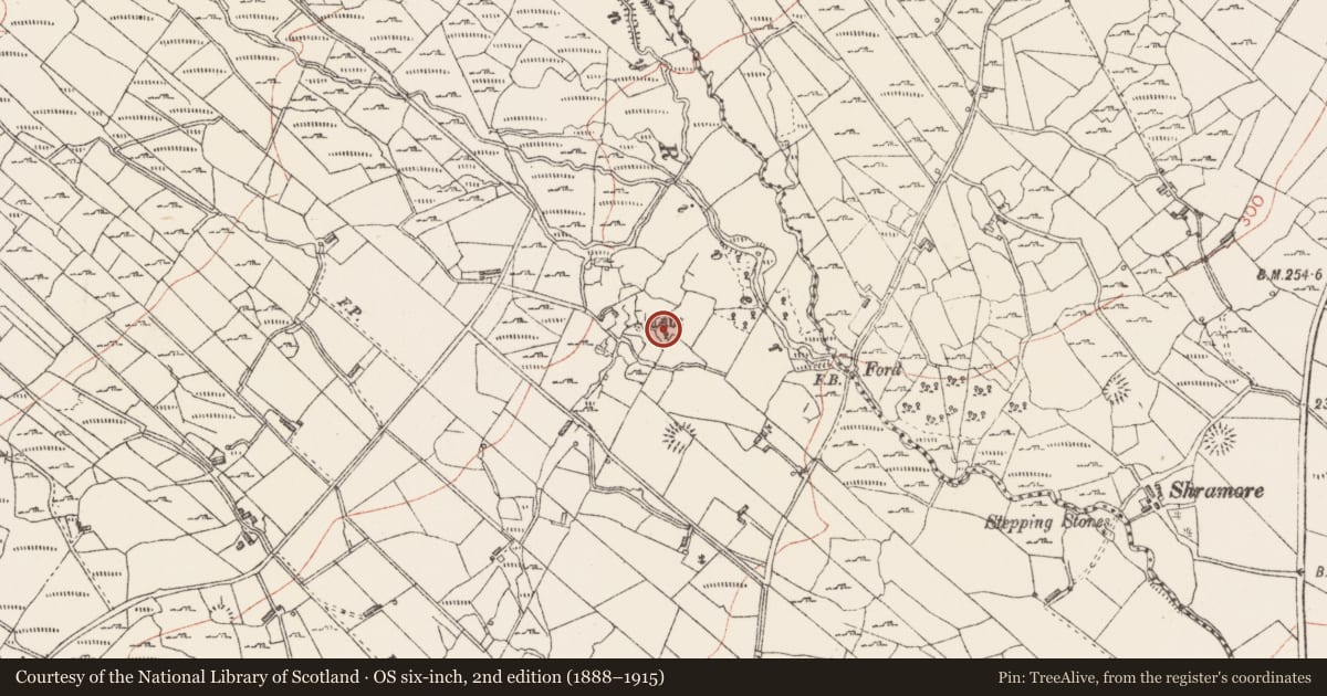 Ordnance Survey six-inch map, 2nd edition (1888–1915) covering the location of Souterrain, Carrowreagh, County Sligo, with a pin at the register's coordinates