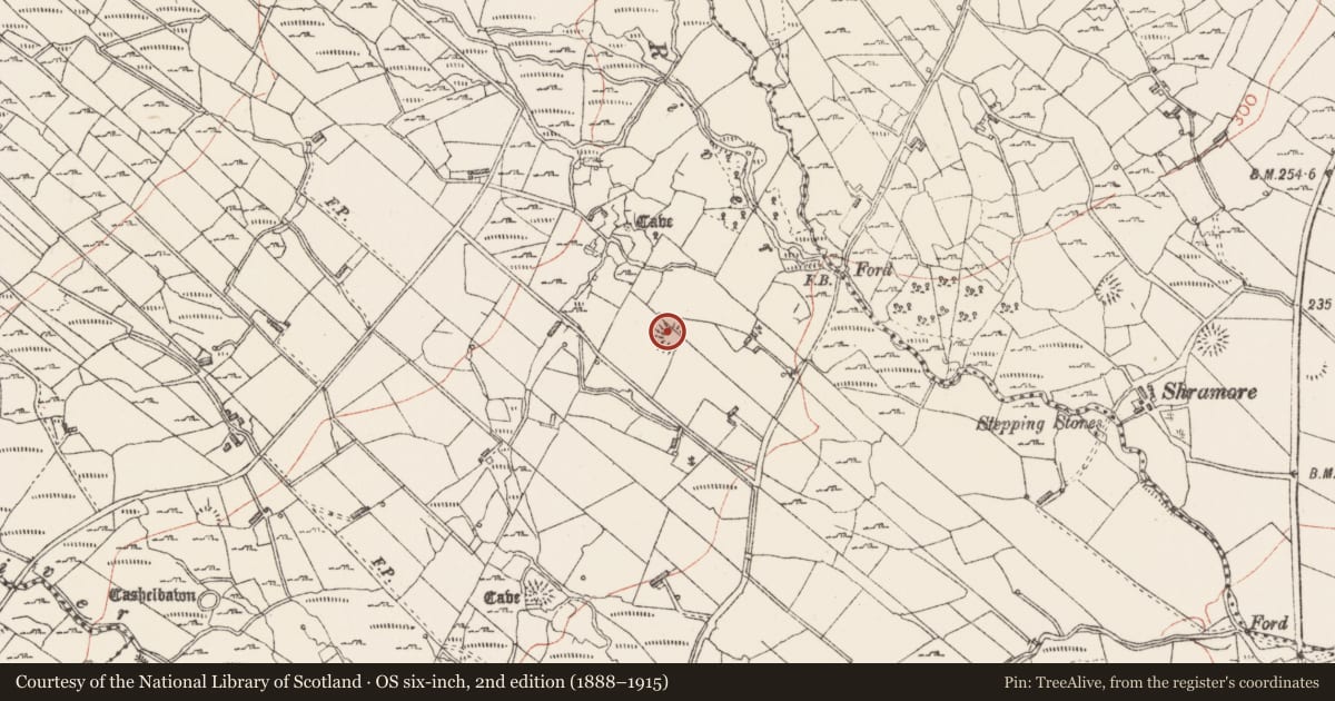 Ordnance Survey six-inch map, 2nd edition (1888–1915) covering the location of Ringfort - cashel, Carrowreagh, County Sligo, with a pin at the register's coordinates