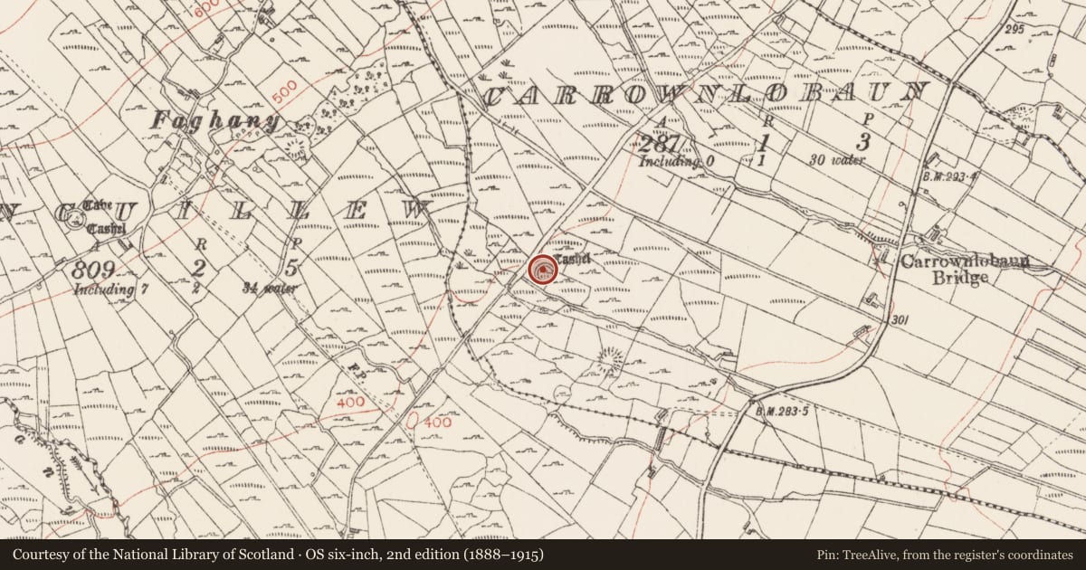 Ordnance Survey six-inch map, 2nd edition (1888–1915) covering the location of Ringfort - cashel, Carrownlobaun, County Sligo, with a pin at the register's coordinates