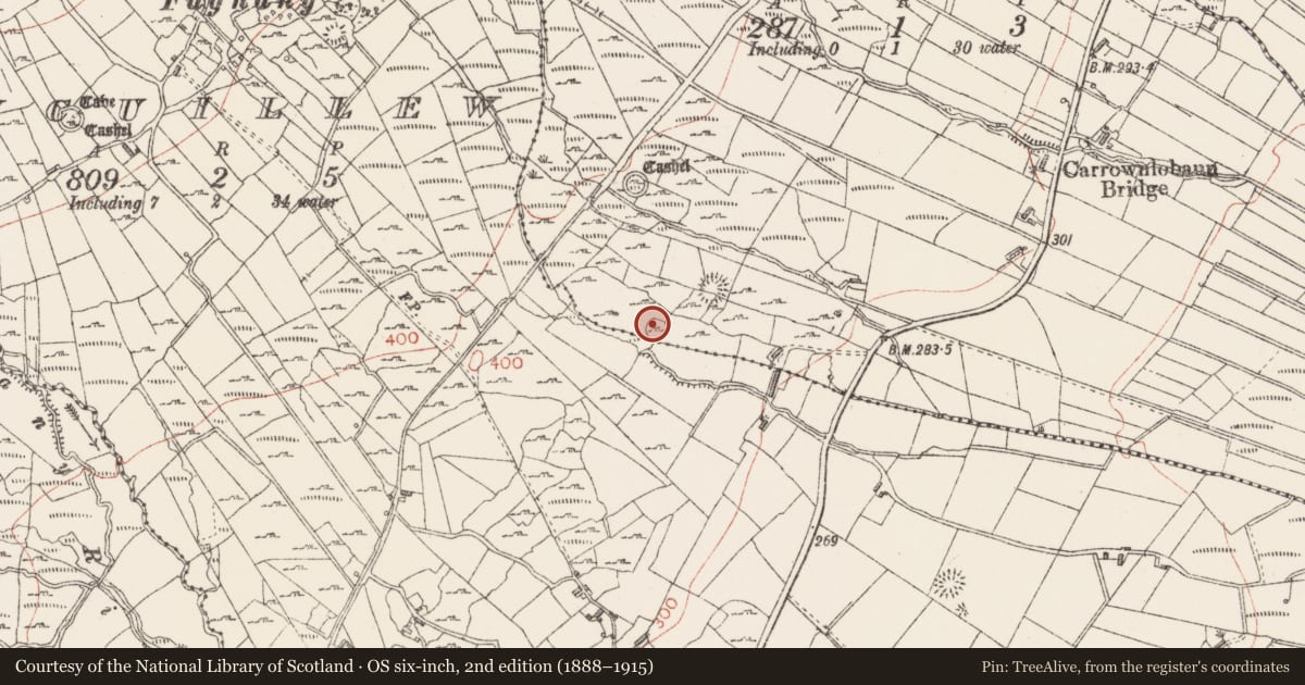 Ordnance Survey six-inch map, 2nd edition (1888–1915) covering the location of Ringfort - cashel, Carrownlobaun, County Sligo, with a pin at the register's coordinates