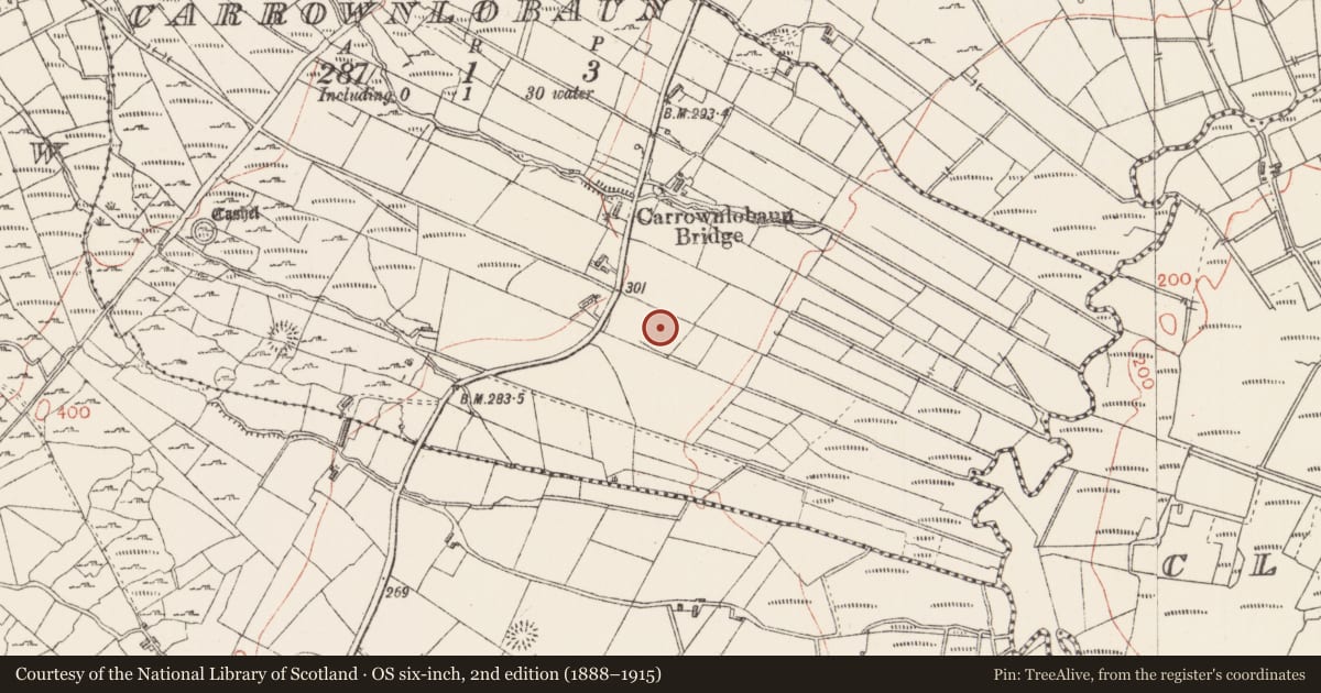 Ordnance Survey six-inch map, 2nd edition (1888–1915) covering the location of Ringfort - rath, Carrownlobaun, County Sligo, with a pin at the register's coordinates