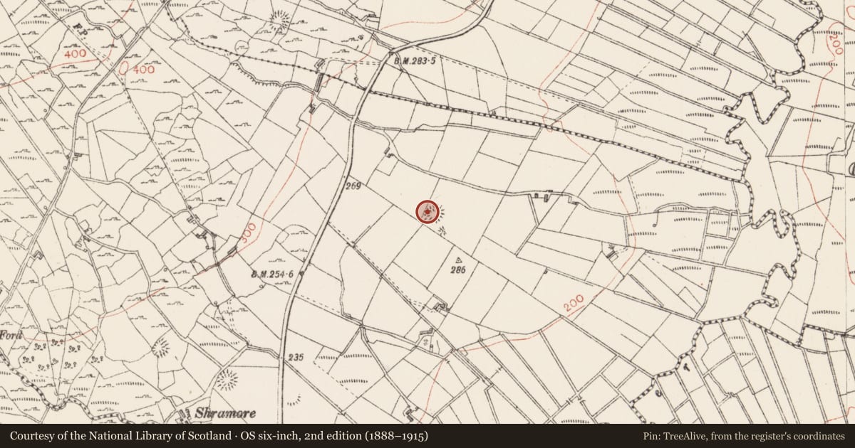 Ordnance Survey six-inch map, 2nd edition (1888–1915) covering the location of Ringfort - rath, Kincuillew, County Sligo, with a pin at the register's coordinates
