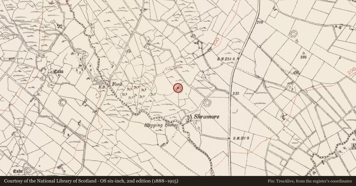 Ordnance Survey six-inch map, 2nd edition (1888–1915) covering the location of Ringfort - cashel, Kincuillew, County Sligo, with a pin at the register's coordinates