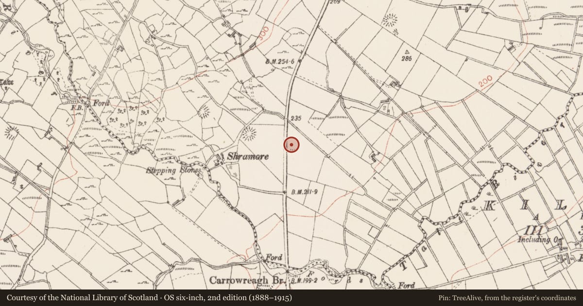 Ordnance Survey six-inch map, 2nd edition (1888–1915) covering the location of Ringfort - rath, Kincuillew, County Sligo, with a pin at the register's coordinates