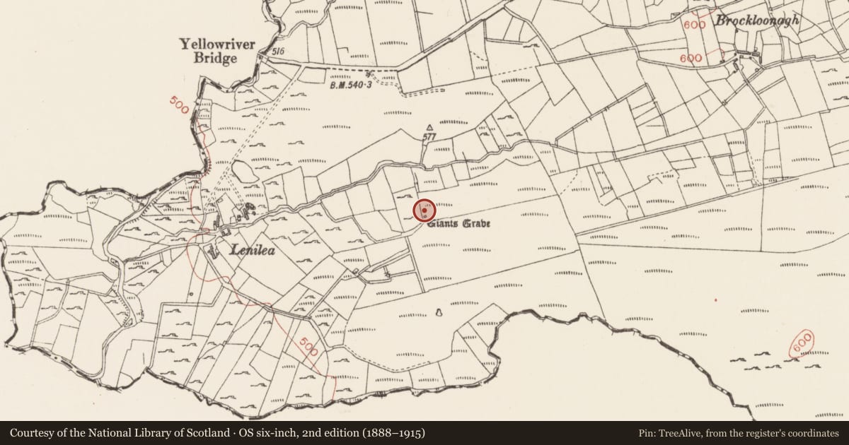 Ordnance Survey six-inch map, 2nd edition (1888–1915) covering the location of Megalithic tomb - wedge tomb, Culdaly, County Sligo, with a pin at the register's coordinates