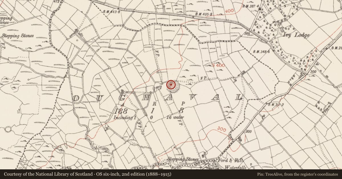 Ordnance Survey six-inch map, 2nd edition (1888–1915) covering the location of Ringfort - cashel, Oughaval, County Sligo, with a pin at the register's coordinates