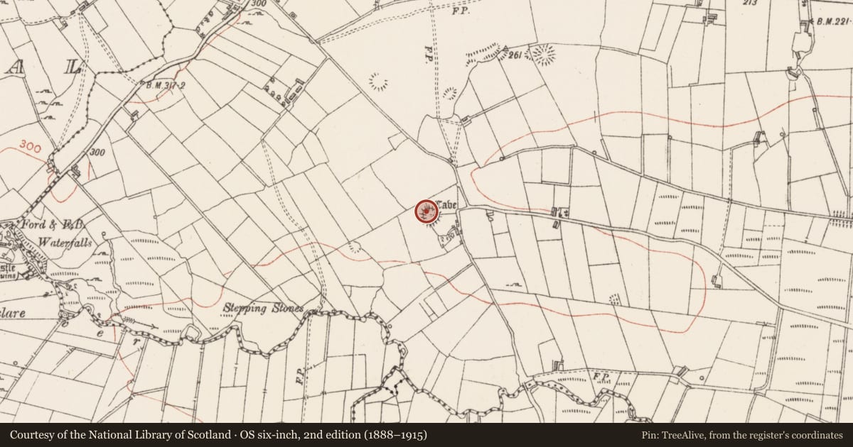Ordnance Survey six-inch map, 2nd edition (1888–1915) covering the location of Ringfort - rath, Kilmacteige, County Sligo, with a pin at the register's coordinates