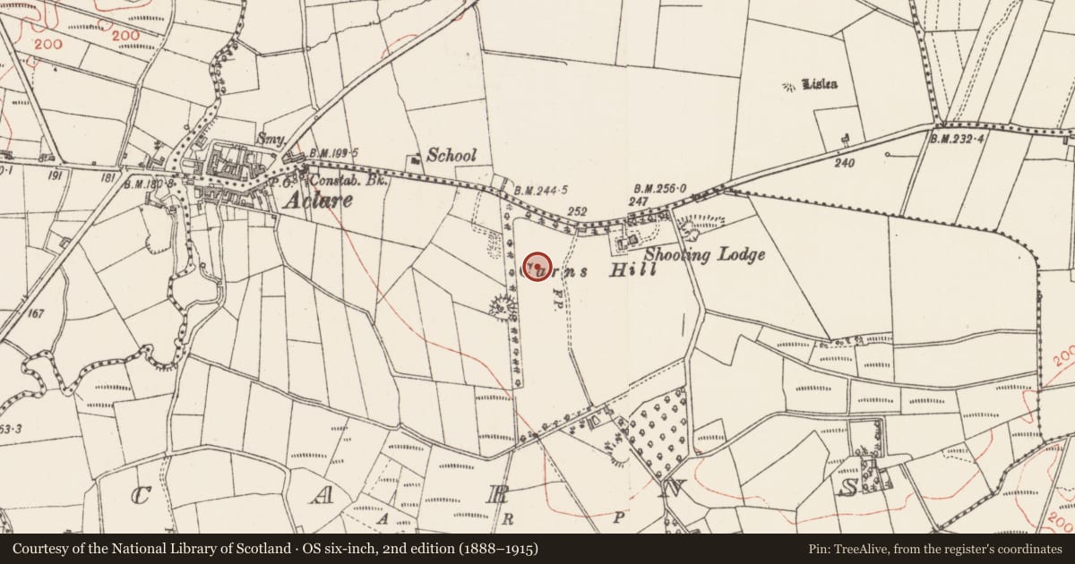 Ordnance Survey six-inch map, 2nd edition (1888–1915) covering the location of Hut site, Carns, County Sligo, with a pin at the register's coordinates