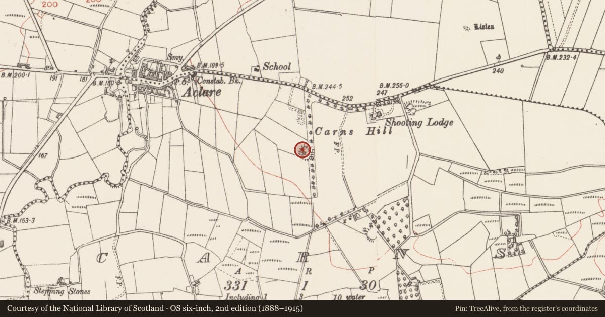 Ordnance Survey six-inch map, 2nd edition (1888–1915) covering the location of Ringfort - rath, Carns, County Sligo, with a pin at the register's coordinates