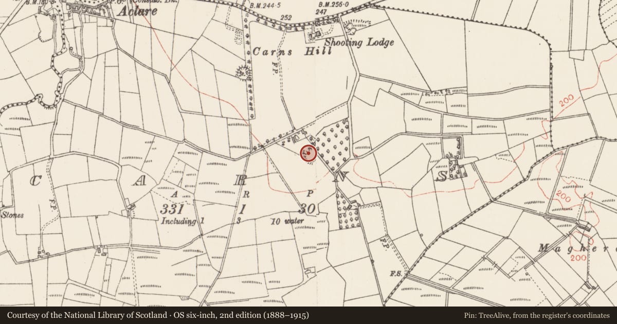 Ordnance Survey six-inch map, 2nd edition (1888–1915) covering the location of Ringfort - rath, Carns, County Sligo, with a pin at the register's coordinates