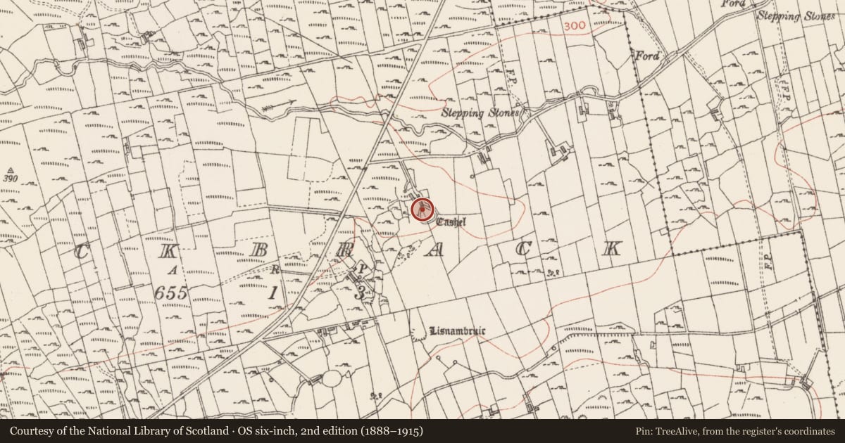Ordnance Survey six-inch map, 2nd edition (1888–1915) covering the location of Ringfort - cashel, Knockbrack, County Sligo, with a pin at the register's coordinates