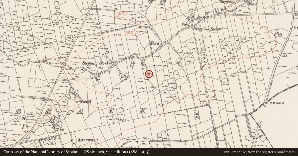 Ordnance Survey six-inch map, 2nd edition (1888–1915) covering the location of Ringfort - rath, Knockbrack, County Sligo, with a pin at the register's coordinates