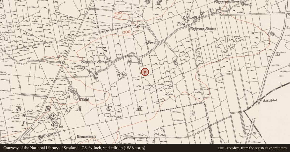 Ordnance Survey six-inch map, 2nd edition (1888–1915) covering the location of Souterrain, Knockbrack, County Sligo, with a pin at the register's coordinates
