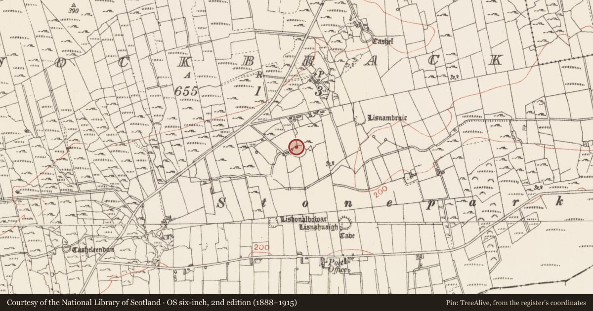 Ordnance Survey six-inch map, 2nd edition (1888–1915) covering the location of Ringfort - cashel, Knockbrack, County Sligo, with a pin at the register's coordinates