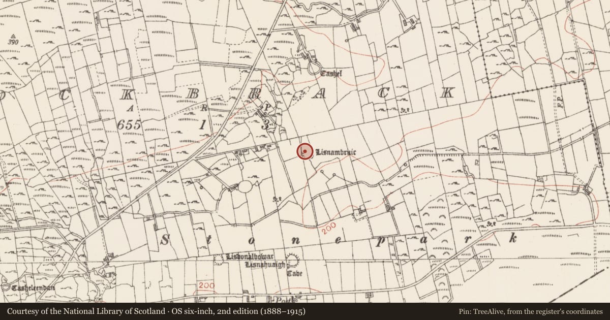 Ordnance Survey six-inch map, 2nd edition (1888–1915) covering the location of Ringfort - rath, Knockbrack, County Sligo, with a pin at the register's coordinates