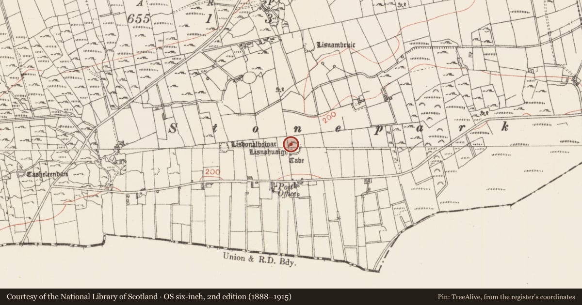 Ordnance Survey six-inch map, 2nd edition (1888–1915) covering the location of Ringfort - cashel, Knockbrack, County Sligo, with a pin at the register's coordinates