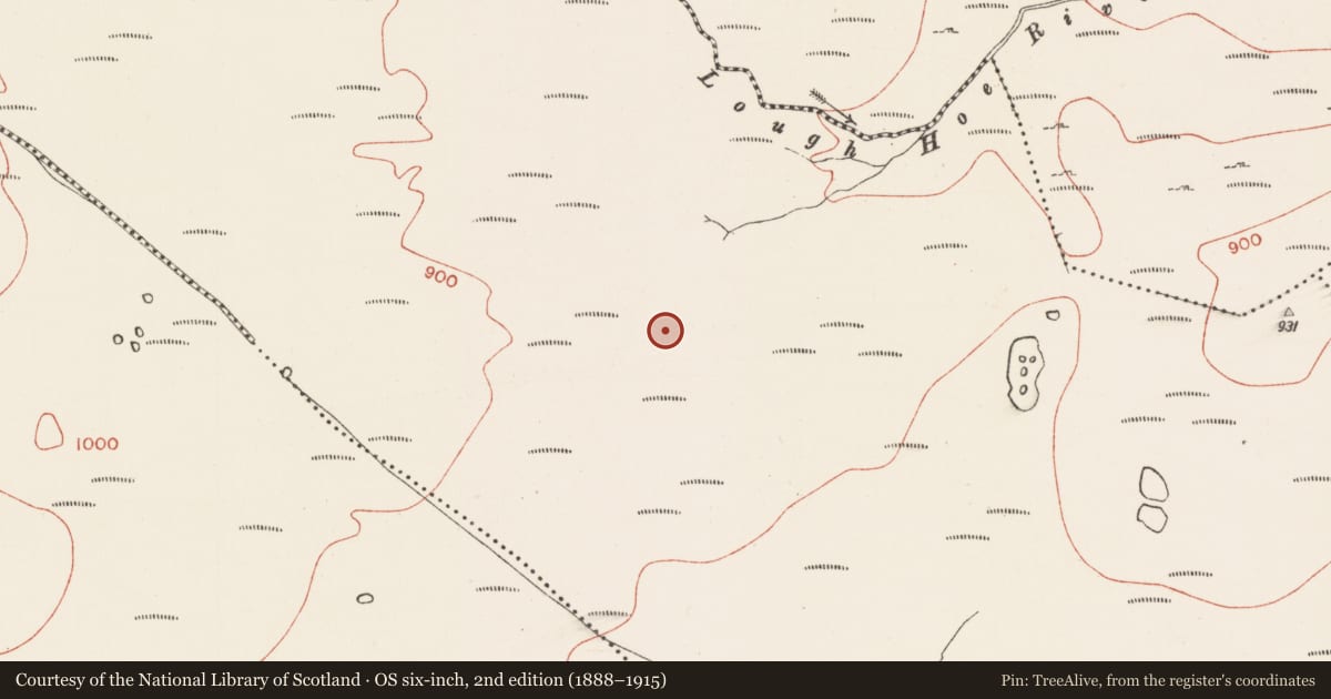 Ordnance Survey six-inch map, 2nd edition (1888–1915) covering the location of Megalithic tomb - court tomb, Kincuillew, County Sligo, with a pin at the register's coordinates