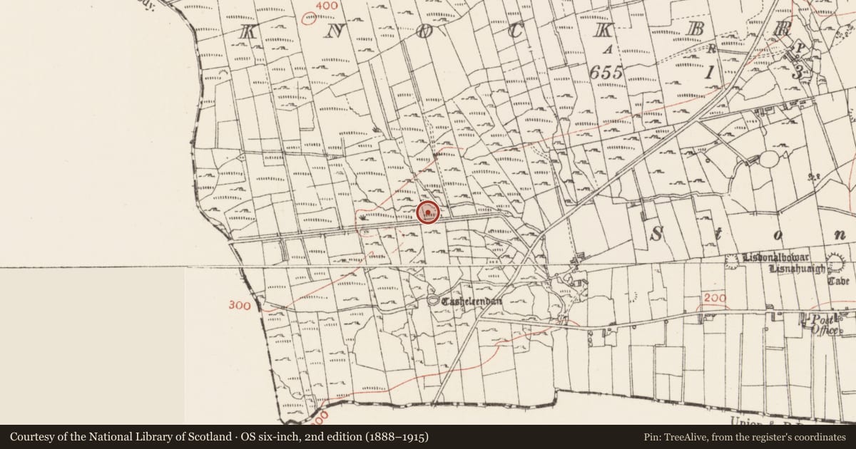 Ordnance Survey six-inch map, 2nd edition (1888–1915) covering the location of Fulacht fia, Knockbrack, County Sligo, with a pin at the register's coordinates