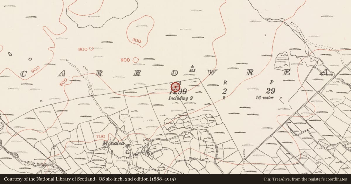 Ordnance Survey six-inch map, 2nd edition (1888–1915) covering the location of Souterrain, Carrowreagh, County Sligo, with a pin at the register's coordinates