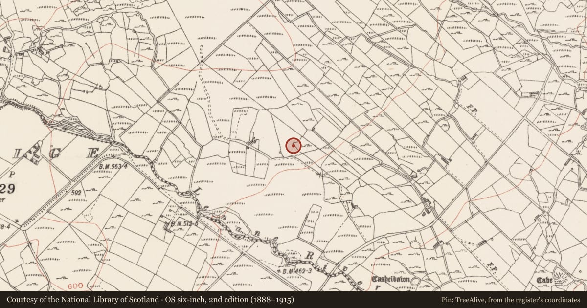 Ordnance Survey six-inch map, 2nd edition (1888–1915) covering the location of Ringfort - cashel, Carrowreagh, County Sligo, with a pin at the register's coordinates