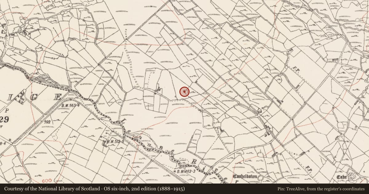 Ordnance Survey six-inch map, 2nd edition (1888–1915) covering the location of Souterrain, Carrowreagh, County Sligo, with a pin at the register's coordinates