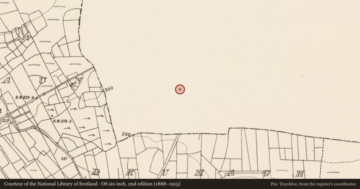 Ordnance Survey six-inch map, 2nd edition (1888–1915) covering the location of Ringfort - cashel, Knockbrack, County Sligo, with a pin at the register's coordinates