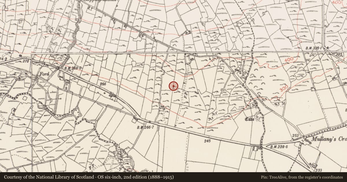 Ordnance Survey six-inch map, 2nd edition (1888–1915) covering the location of Ringfort - rath, Gortersluin, County Sligo, with a pin at the register's coordinates