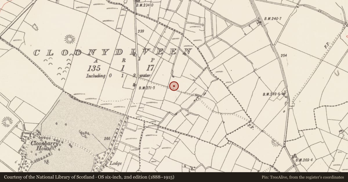 Ordnance Survey six-inch map, 2nd edition (1888–1915) covering the location of Souterrain, Cloonydiveen, County Sligo, with a pin at the register's coordinates