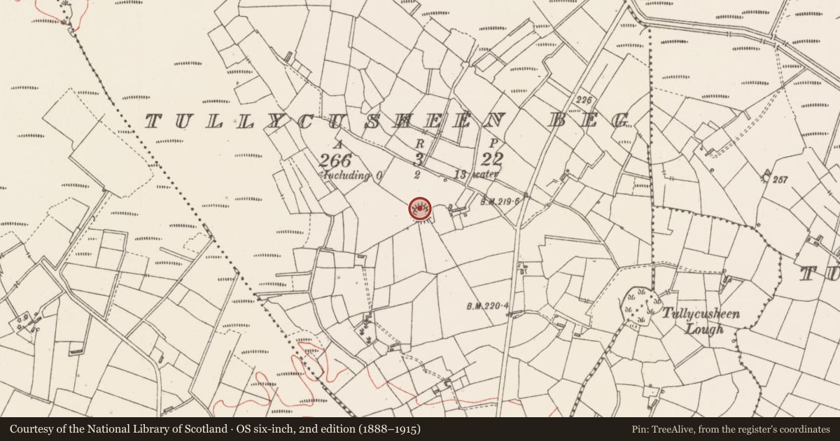 Ordnance Survey six-inch map, 2nd edition (1888–1915) covering the location of Ringfort - rath, Tullycusheen Beg, County Sligo, with a pin at the register's coordinates